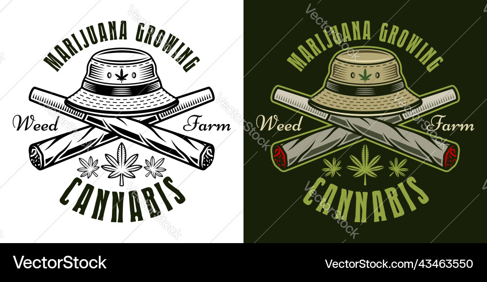 Two crossed weed joints and bucket hat vector image