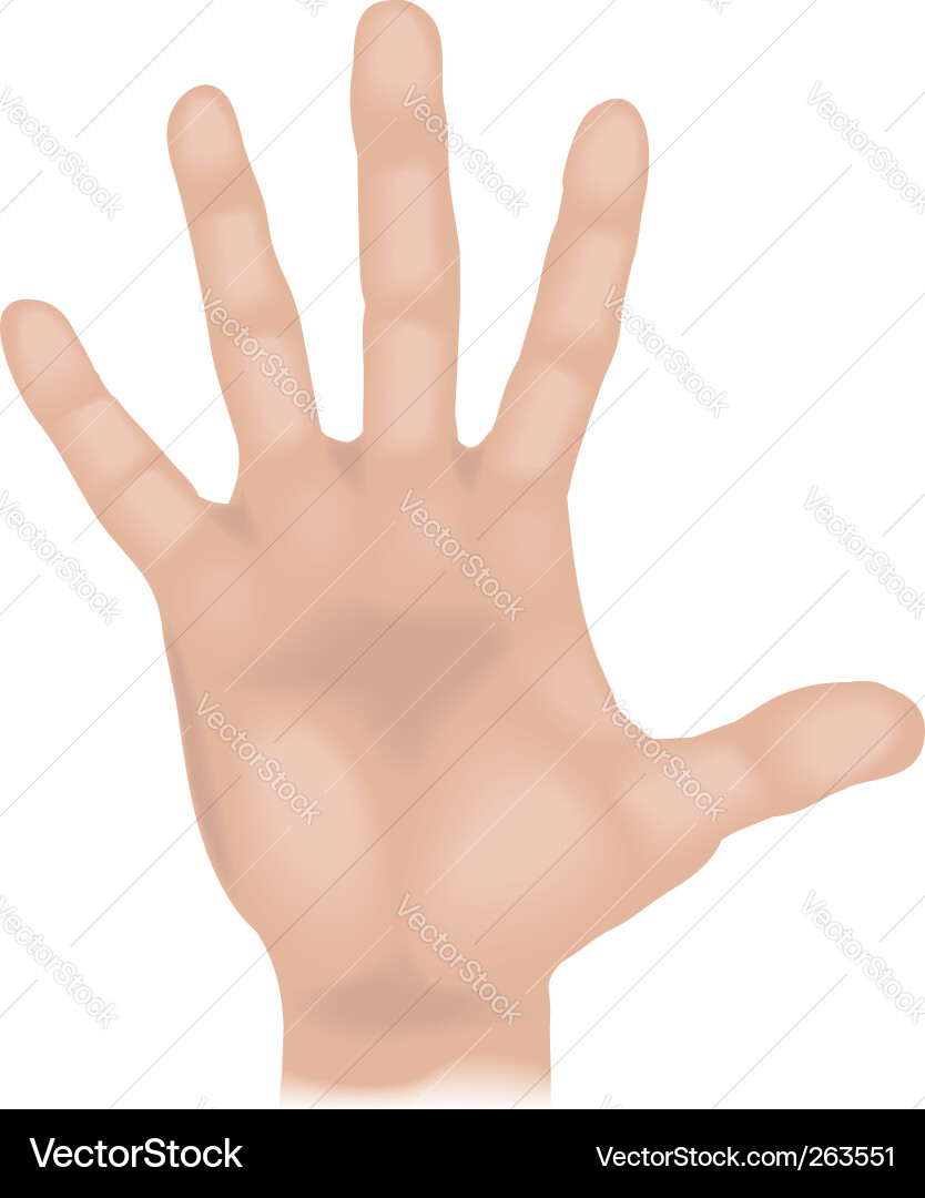 Hand Royalty Free Vector Image - VectorStock