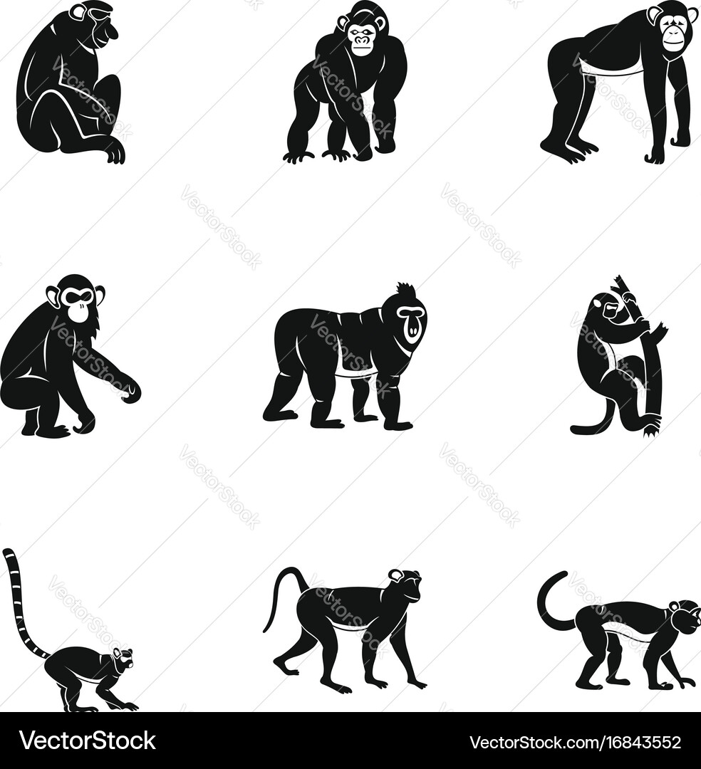 Monkey icon set simple style Vector Image