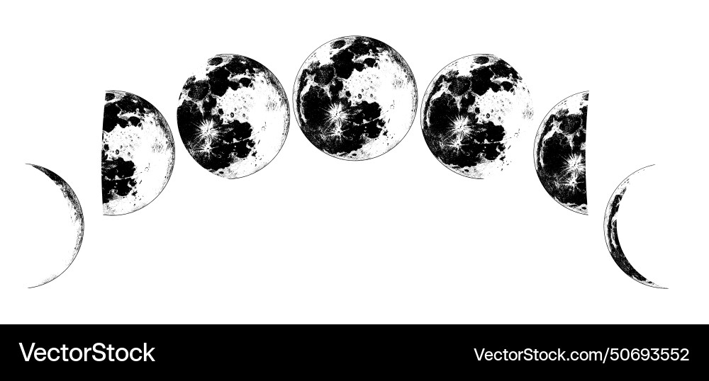 Phases of the moon in solar system Royalty Free Vector Image