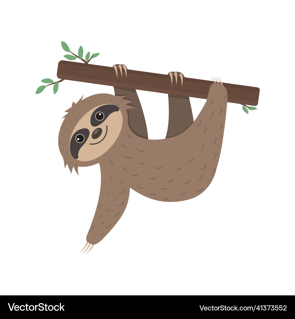 Sloth lying on a tree isolated Vector Image