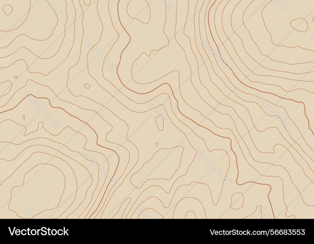 Topographic map background with altitude lines Topographic map background with altitude lines vector image