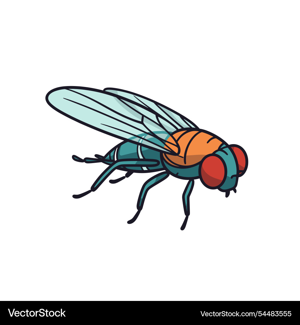 Detailed of a colorful insect with distinctive Detailed of a colorful insect with distinctive Vector Image