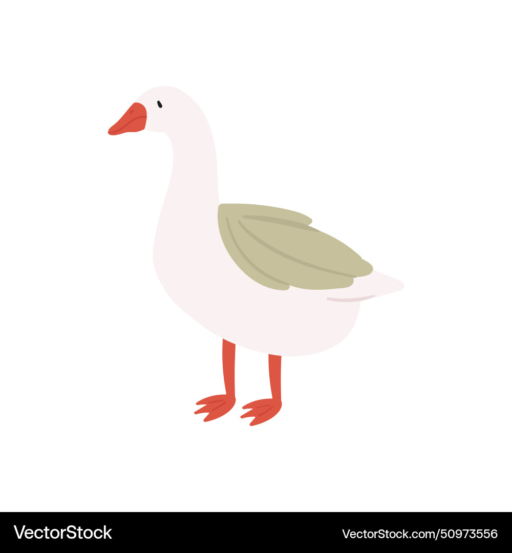 Goose farm bird vector image