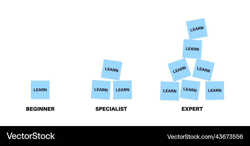 Skill Progression Chart vector image