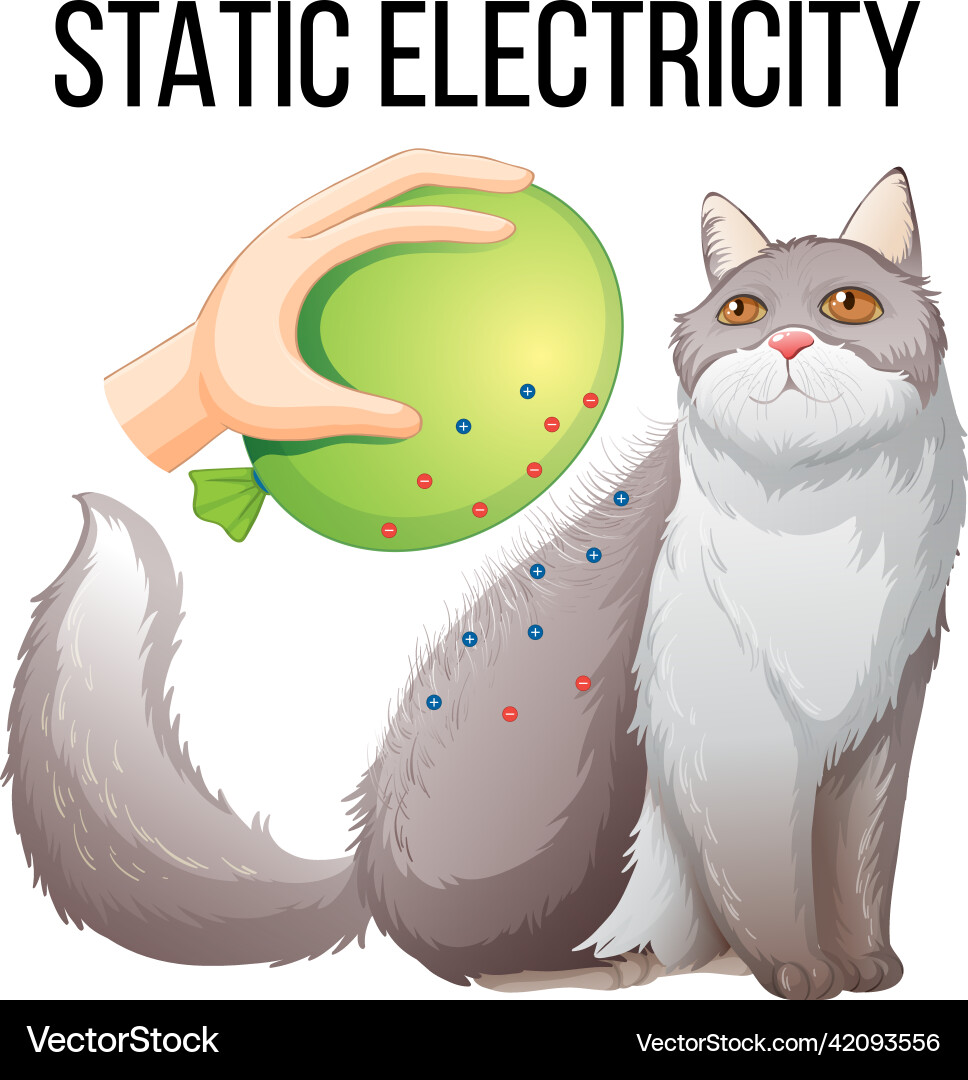 Static electricity experiment with balloon and cat Vector Image