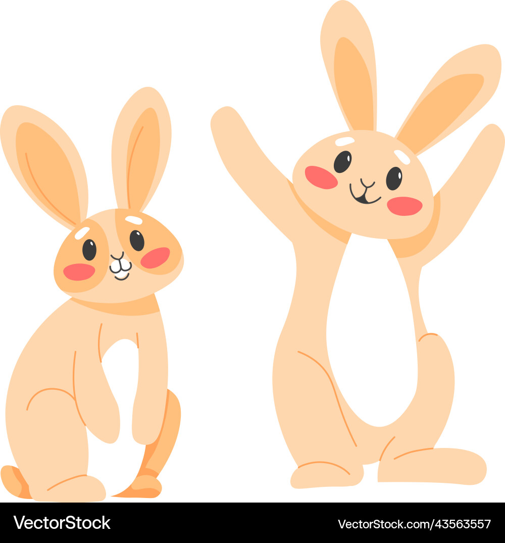 Cute rabbits couple of hares or cheerful bunnies Cute rabbits couple of hares or cheerful bunnies vector image