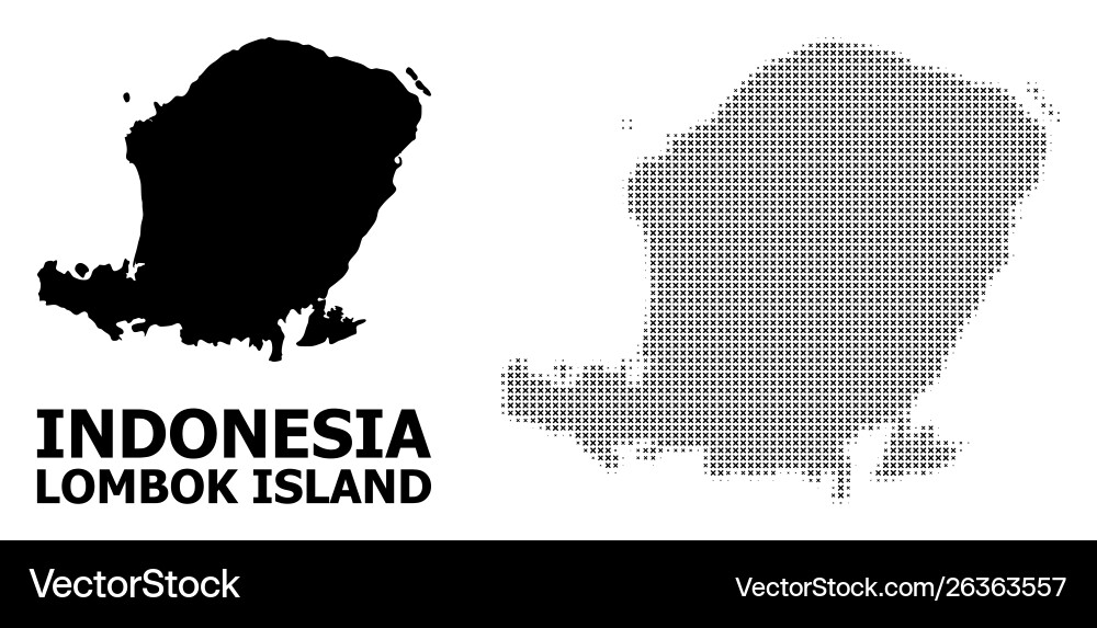 Halftone pattern and solid map lombok Vector Image