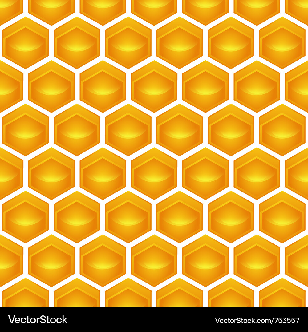 Honeycomb Pattern Vector Image