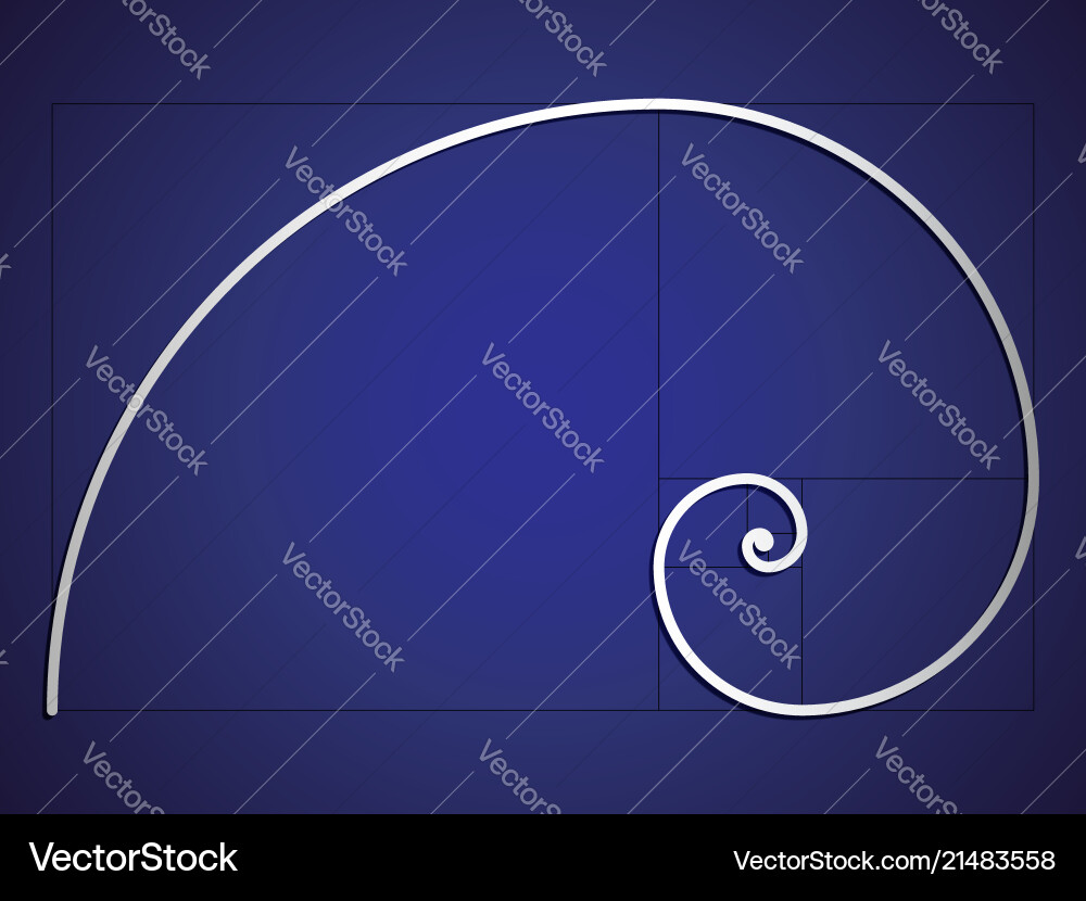 Fibonacci spiral eps 10 Fibonacci spiral eps 10 vector image