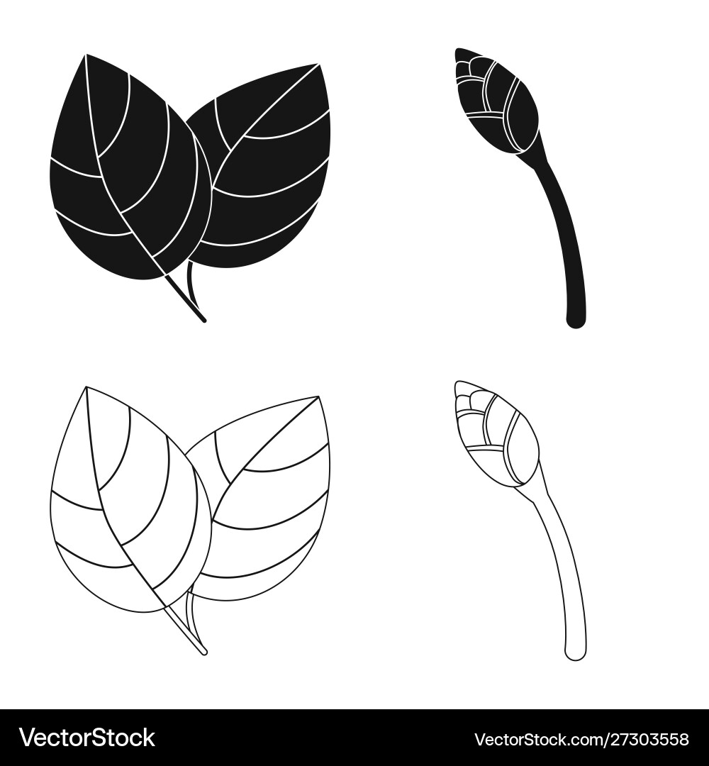 Isolated object fresh and product symbol set Vector Image
