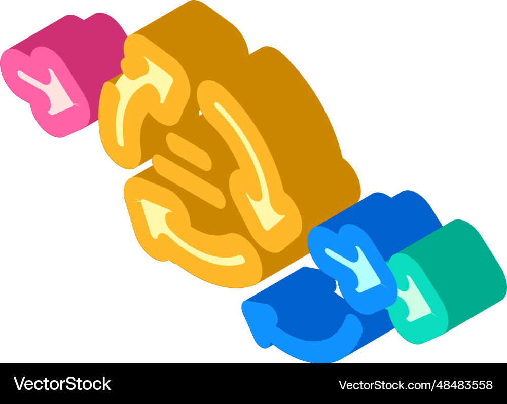 Rapid application development software isometric Rapid application development software isometric vector image