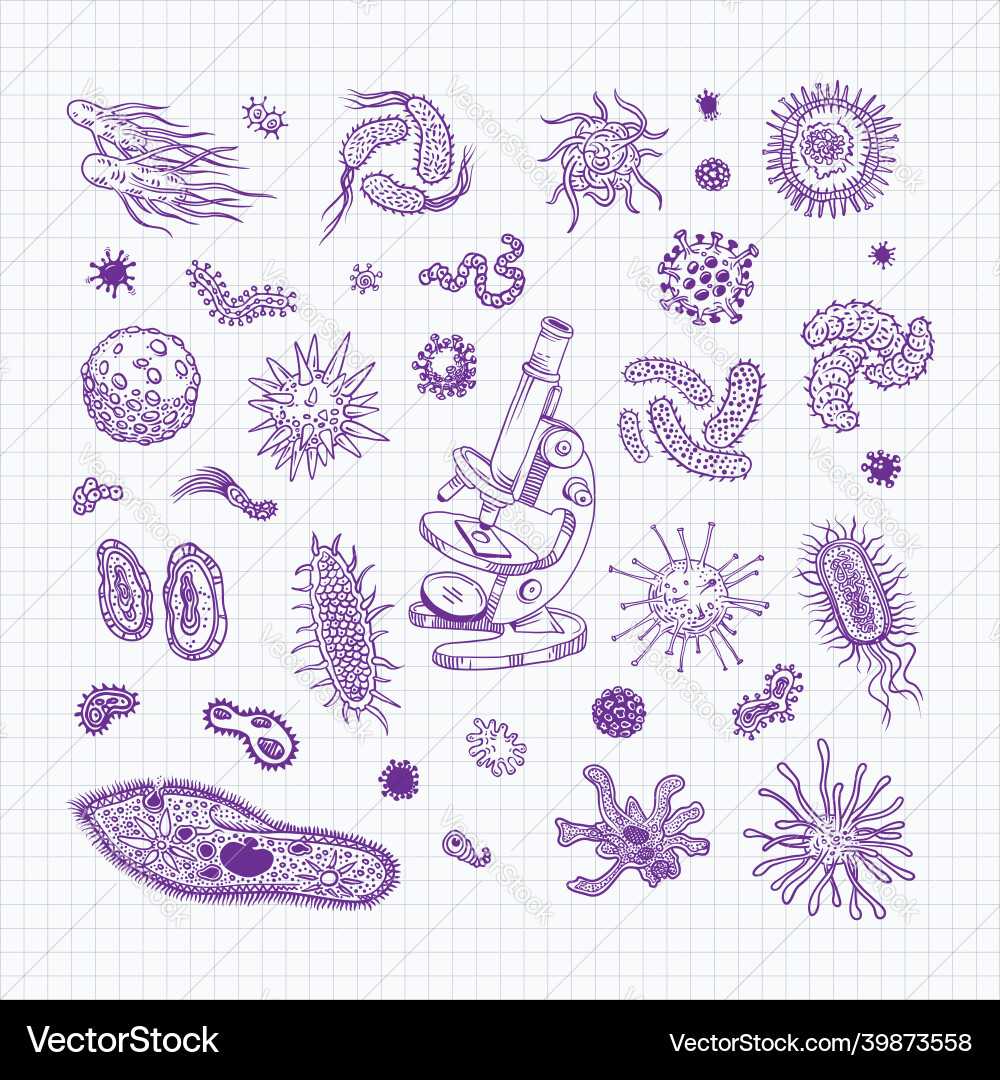 Simple set of bacteria virus icons for web design Simple set of bacteria virus icons for web design vector image