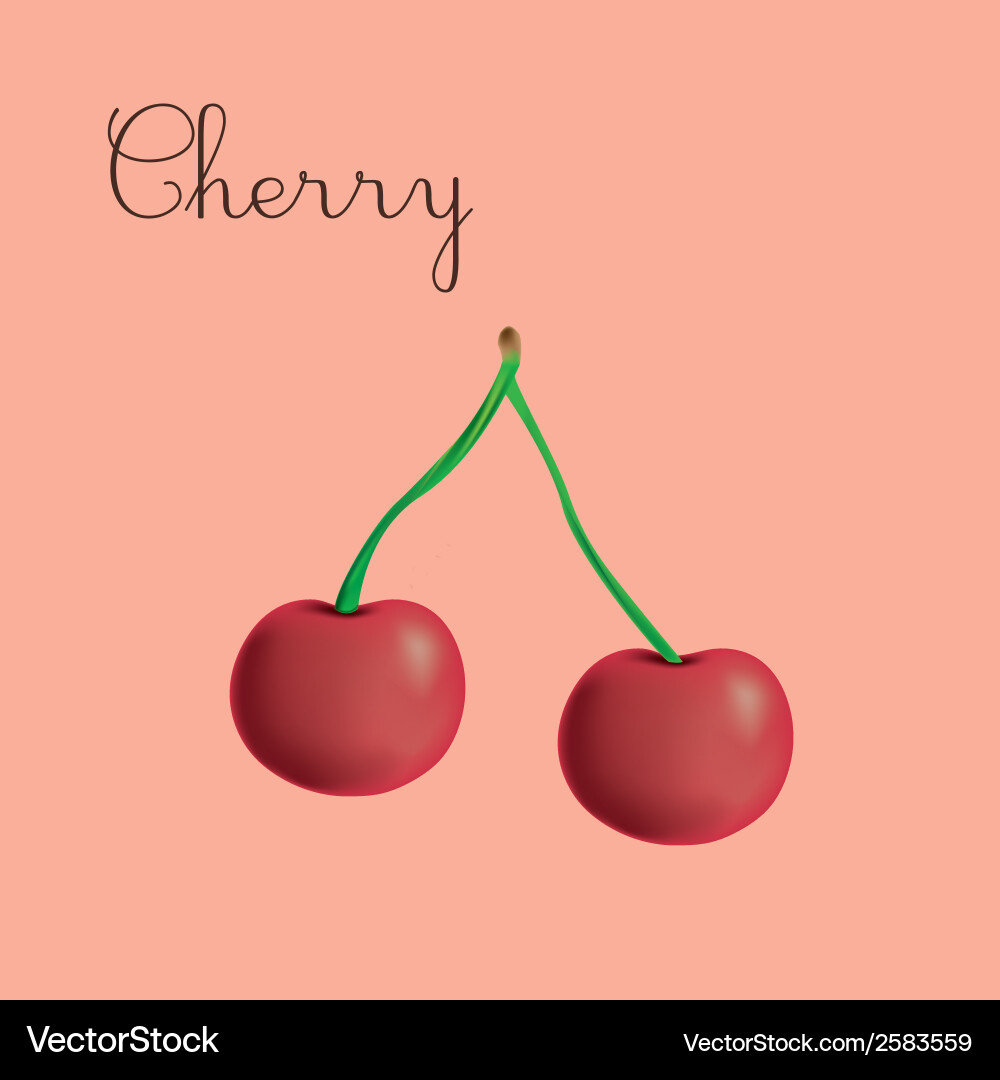A cherry in red background with text Vector Image