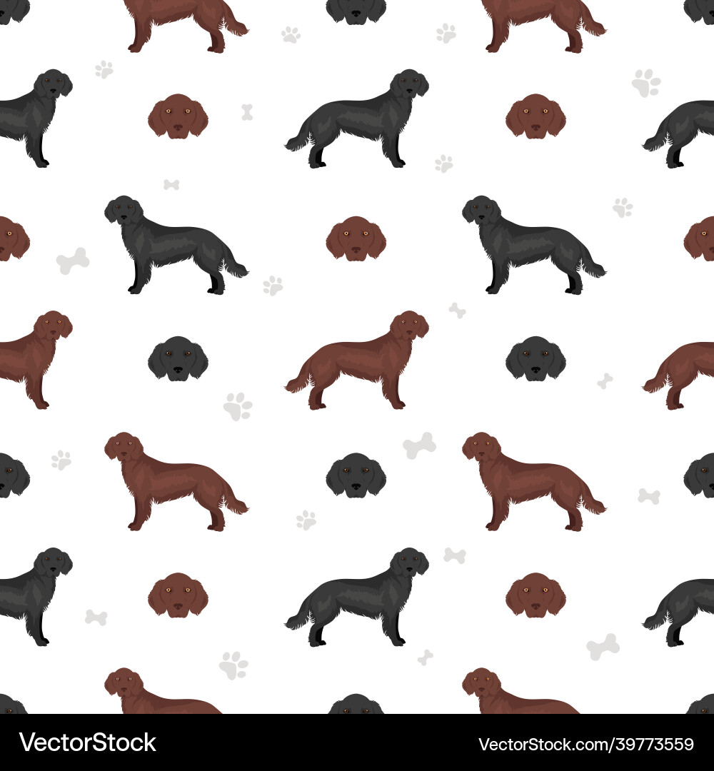 Flat coated retriever seamless pattern different Flat coated retriever seamless pattern different Vector Image