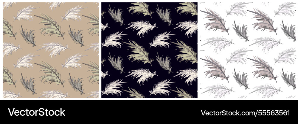 Elegant boho feather patterns in neutral dark Elegant boho feather patterns in neutral dark vector image