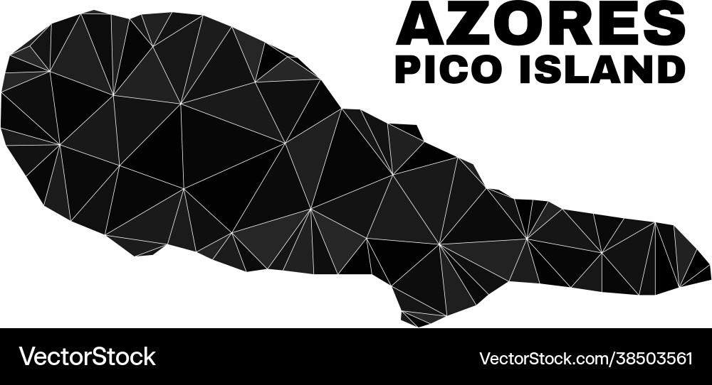 Polygonal pico island map Vector Image