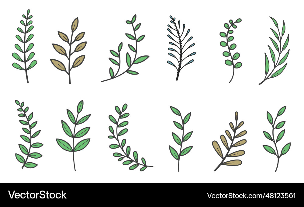 Set of tree branches with leaves line color Set of tree branches with leaves line color vector image