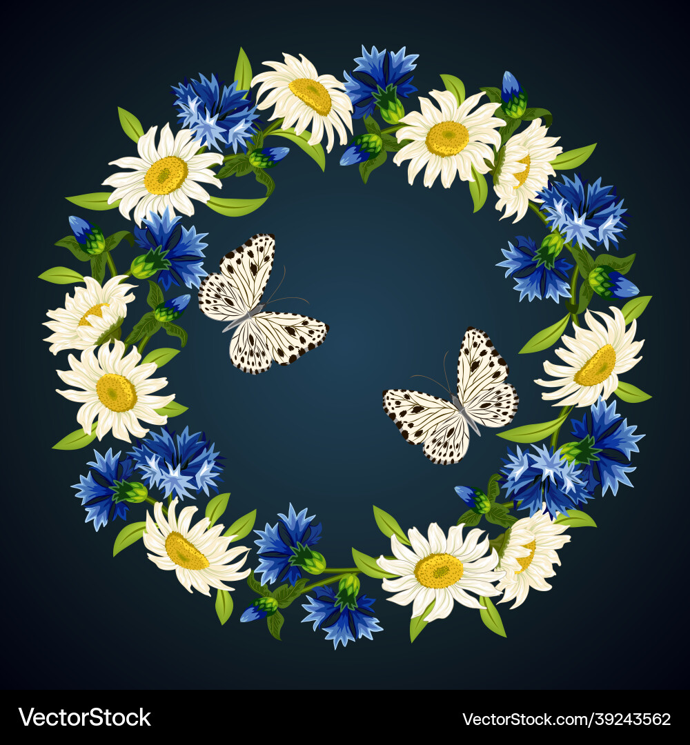 A wreath of cornflowers and daisies A wreath of cornflowers and daisies vector image