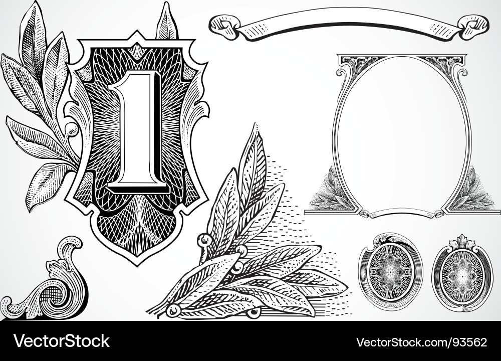 Elegant Money & Scroll Elements Vector Image