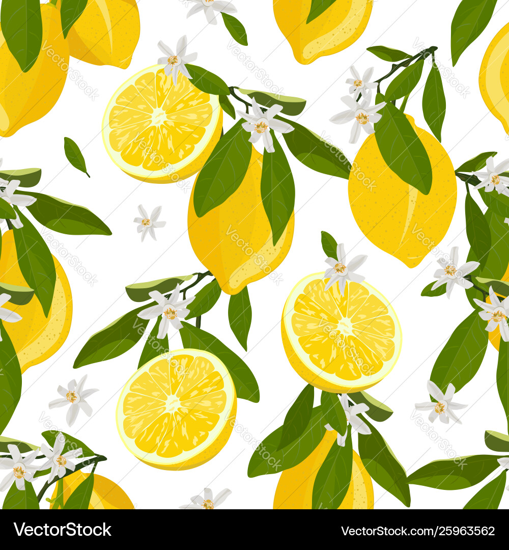 Lemon fruits seamless pattern with flowers Lemon fruits seamless pattern with flowers vector image