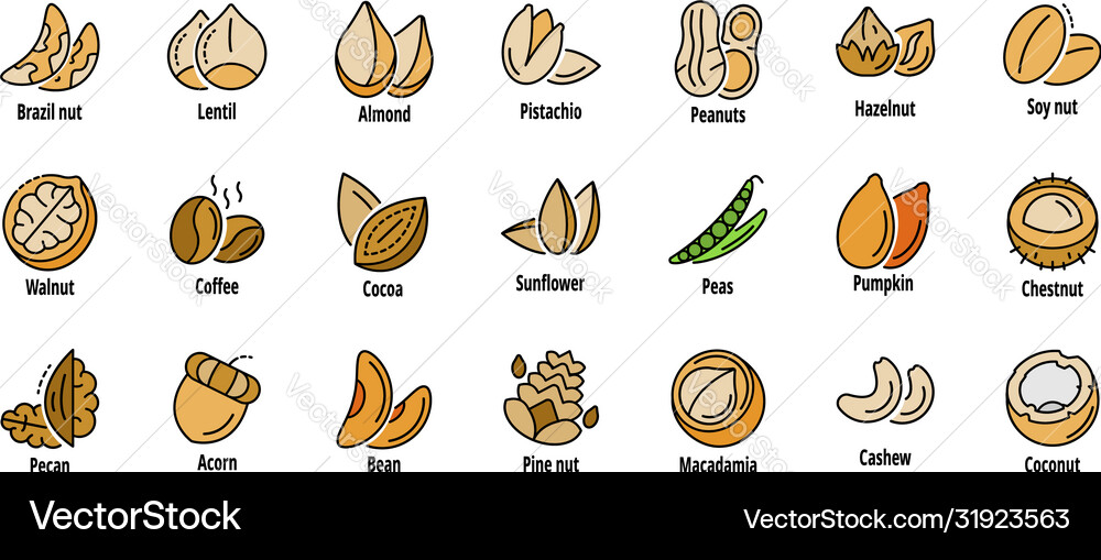 Nut icon set line color Nut icon set line color vector image