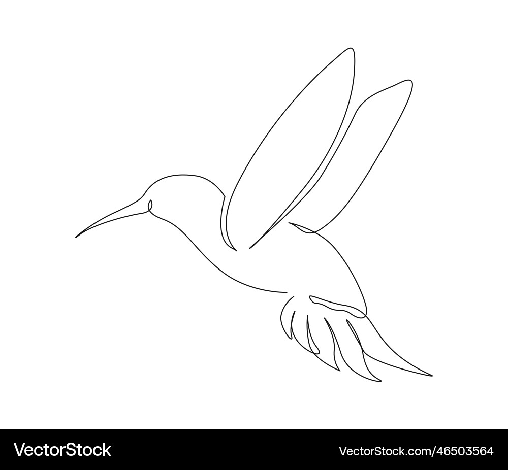 Continuous one line drawing of collibri humming Continuous one line drawing of collibri humming vector image