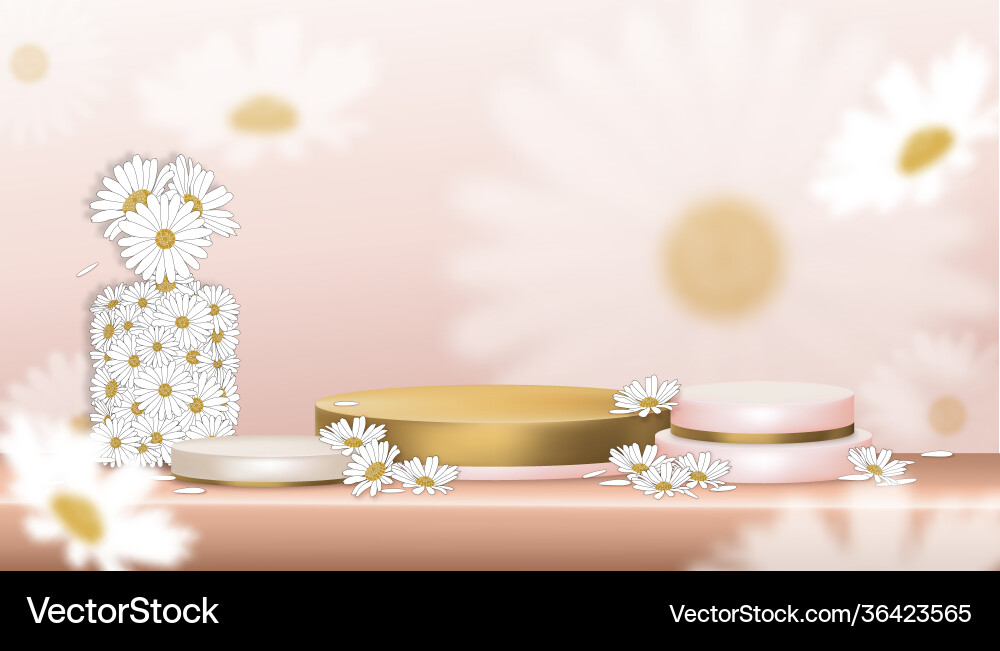 3d white daisy with empty showcase display peach Vector Image
