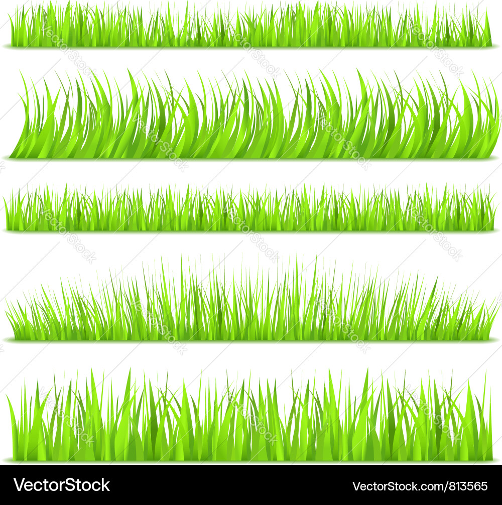 Green grass Royalty Free Vector Image - VectorStock