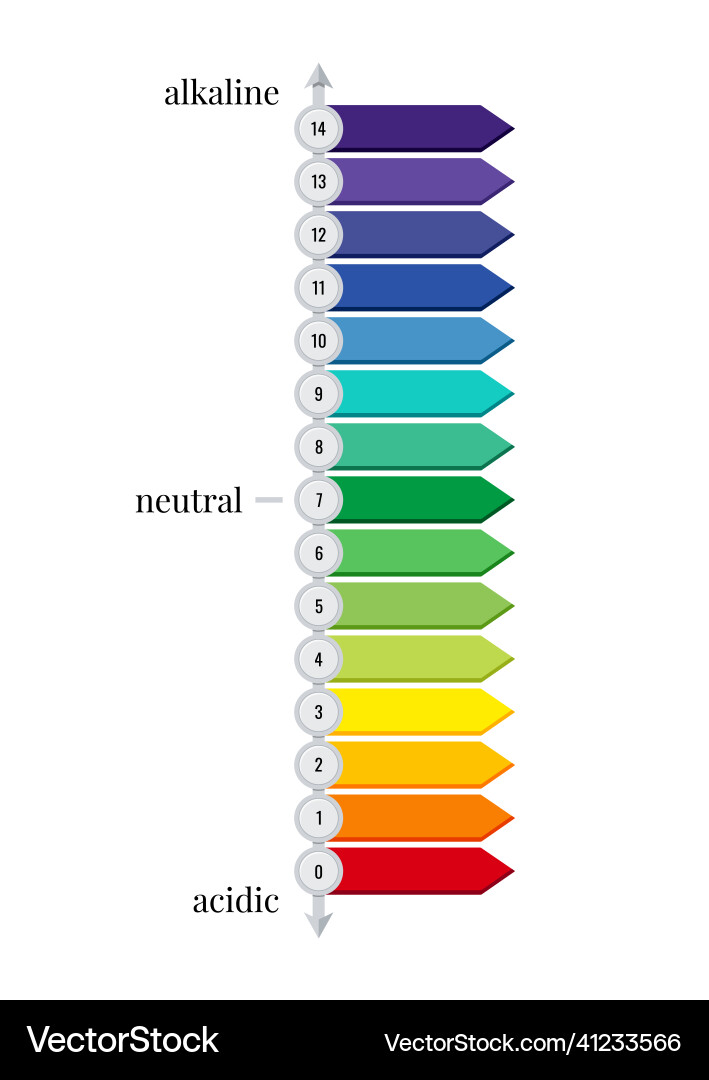 Ph scale horizontal chart meter for acid and base Ph scale horizontal chart meter for acid and base vector image