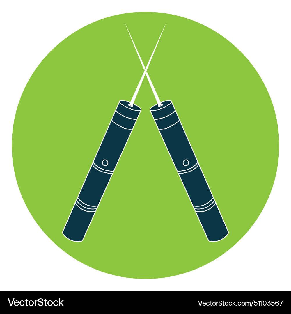 Laser pointer icon Laser pointer icon vector image