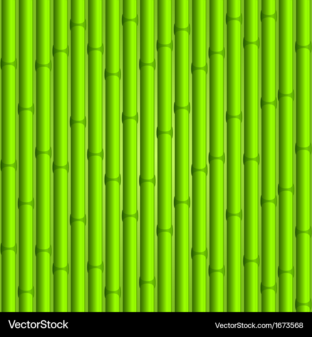 Bamboo background (1673568)  Royalty-Free Vector | VectorStock