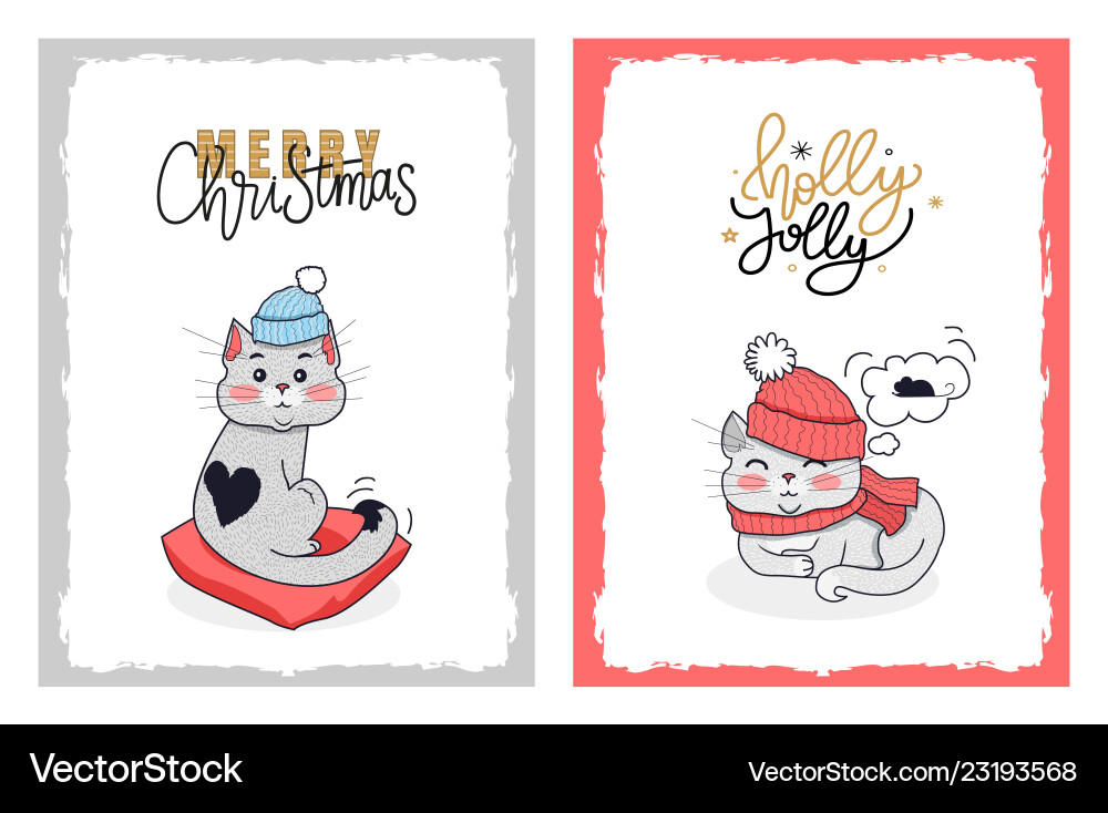 Christmas cards with greeting from holly jolly cat Christmas cards with greeting from holly jolly cat vector image