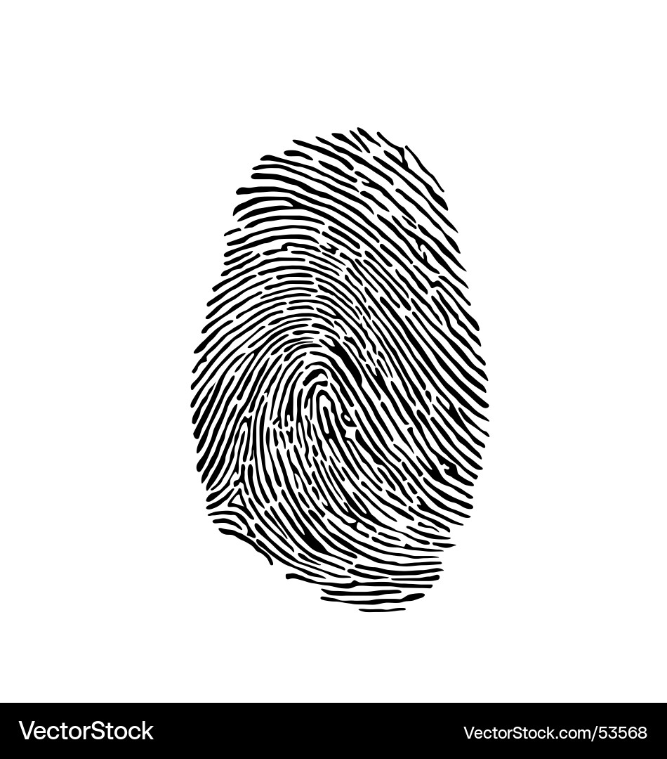 Fingerprint Pattern vector image