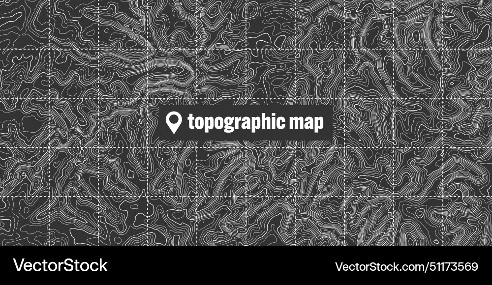 Topographic map with contour lines geographic vector image