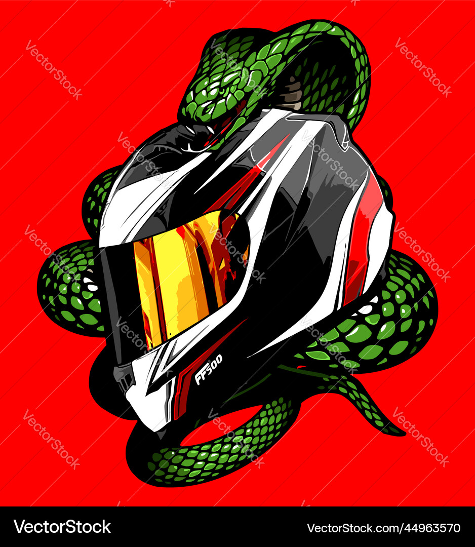 Flow pattern helmet wrapped around a snake Flow pattern helmet wrapped around a snake Vector Image