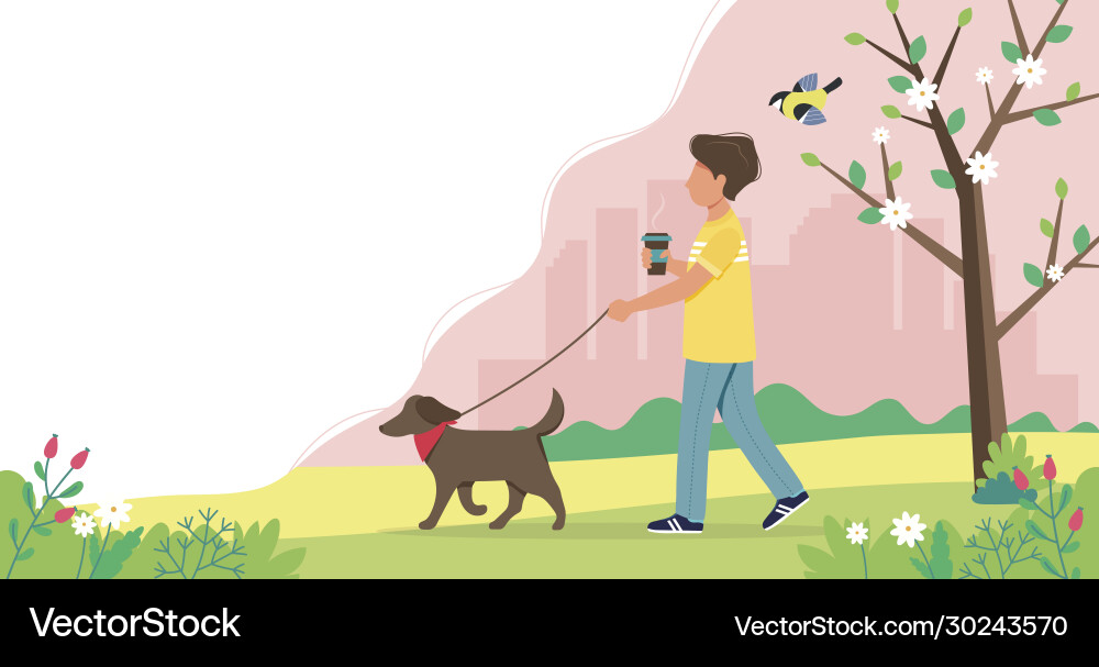 Man walking dog in spring cute vector image