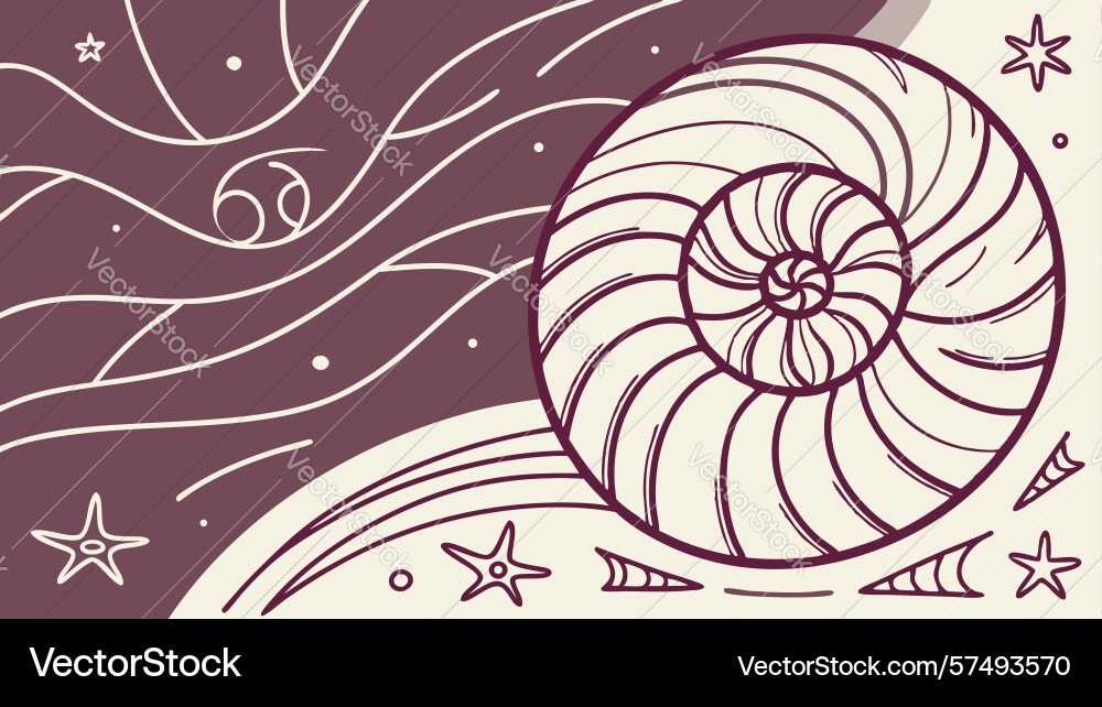 Nautilus shell with abstract cosmic swirls design vector image