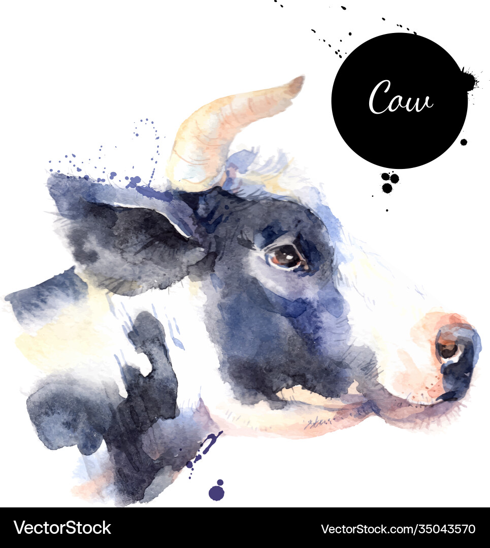 Watercolor Cow Profile Head Vector Image