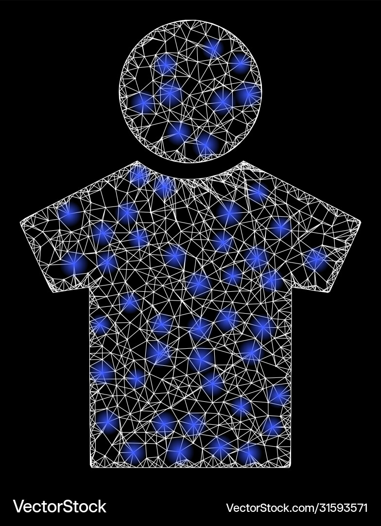 Bright web net boy with light spots Bright web net boy with light spots vector image