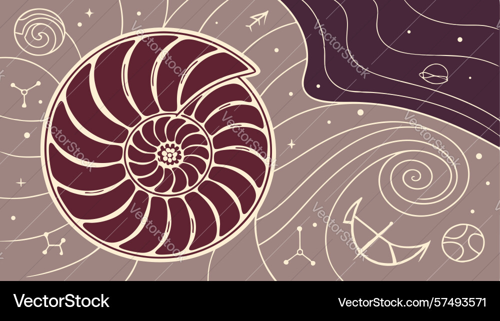 Detailed nautilus shell with abstract swirls Vector Image