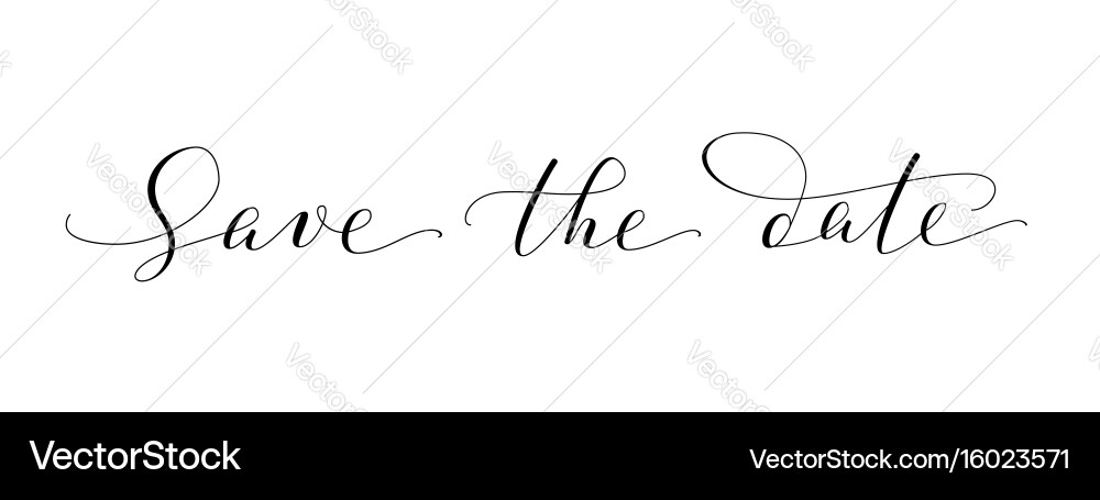 Elegant Save the Date Script Words vector image