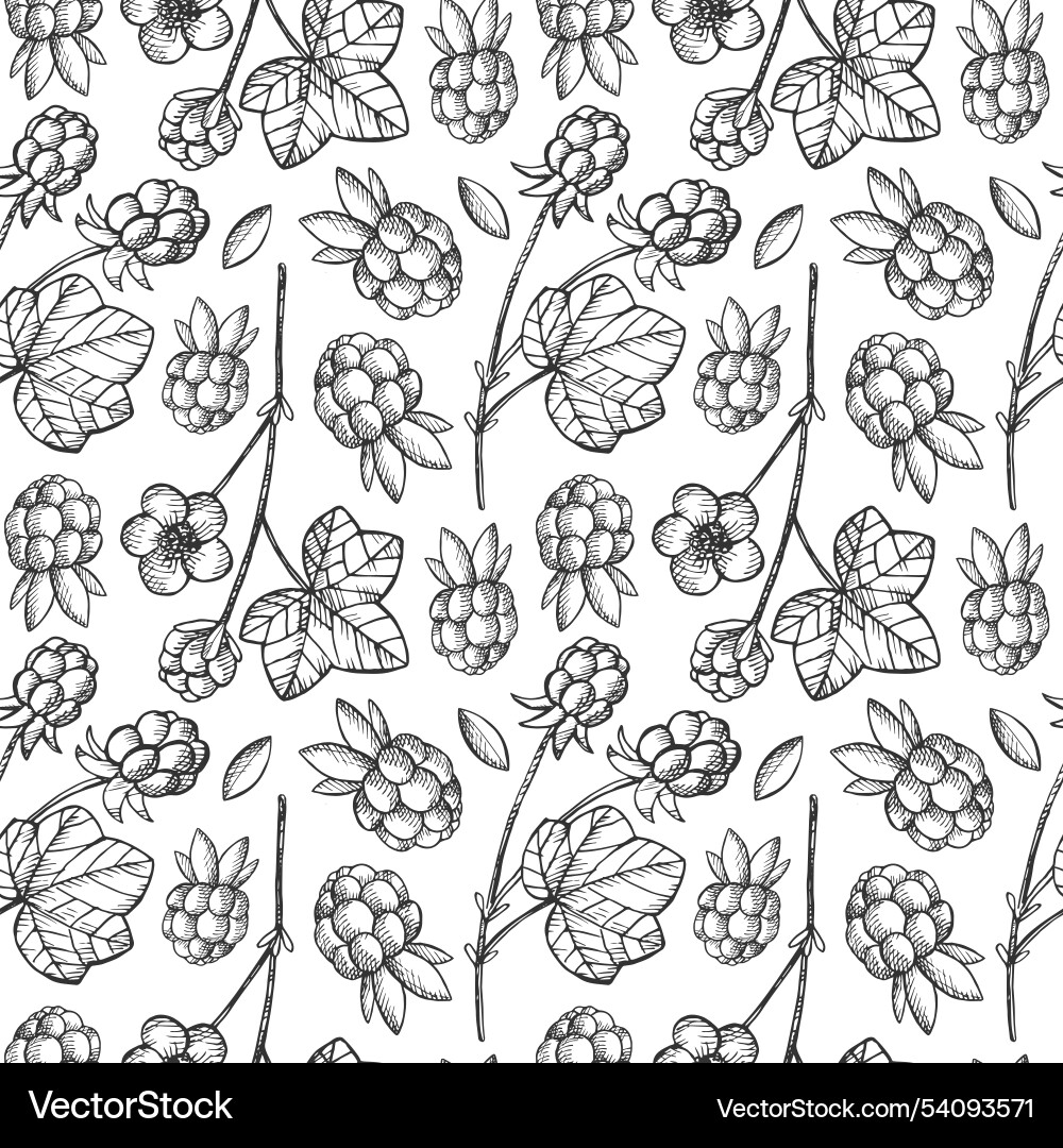 Seamless pattern with cloudberry raspberry vector image