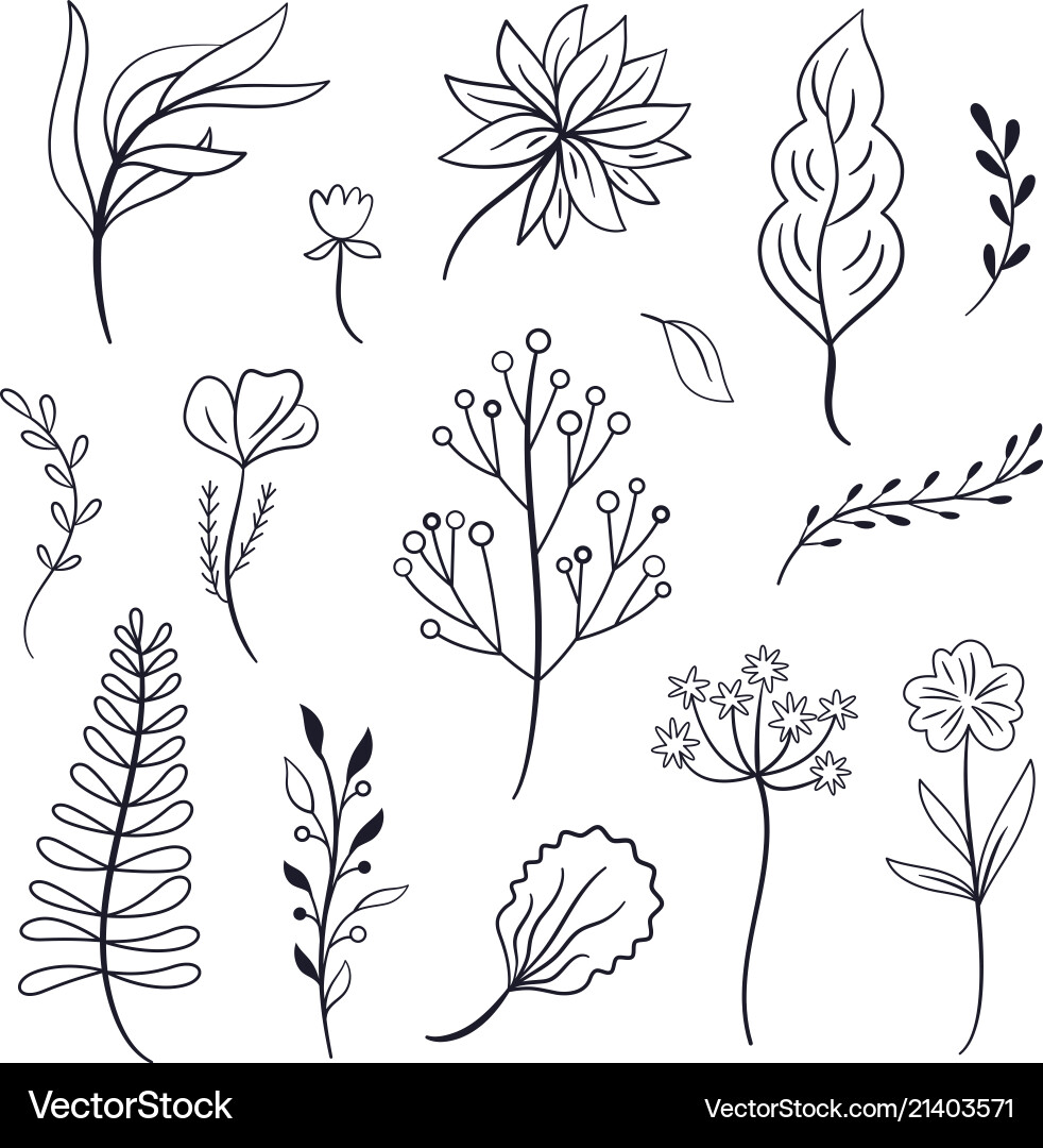 Set of leaves and plants Set of leaves and plants vector image