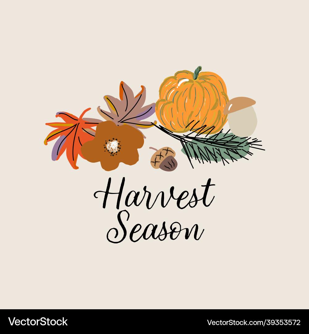 Süße Herbst Ernte saisonale Grußkarten Süße Herbst Ernte saisonale Grußkarten vektorbild