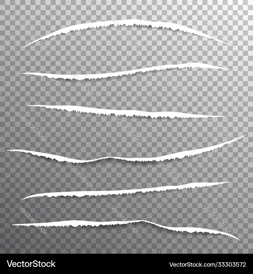 Torn edges paper pattern vector image
