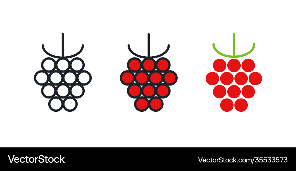 Raspberry icon linear color contour shape Raspberry icon linear color contour shape vector image