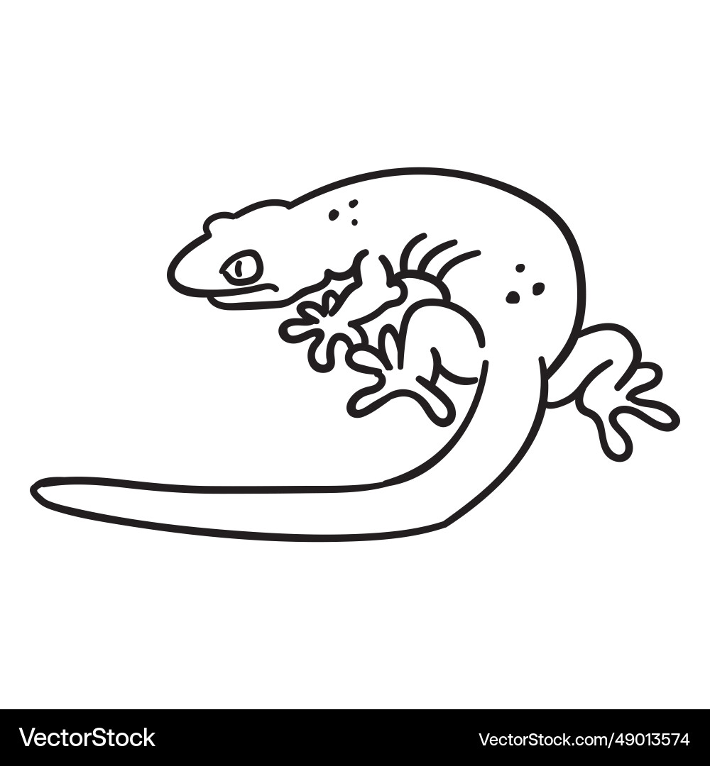 Stroke simple lizard Stroke simple lizard vector image