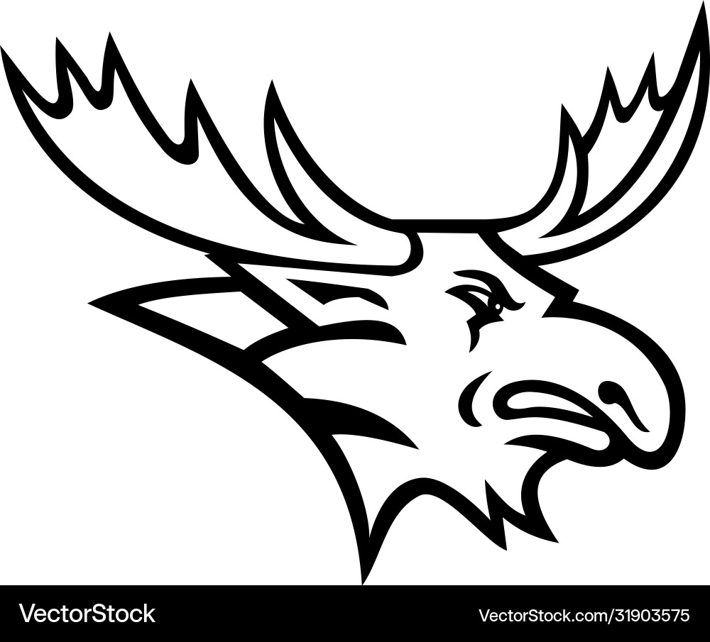 Bull Moose Head Mascot vector image