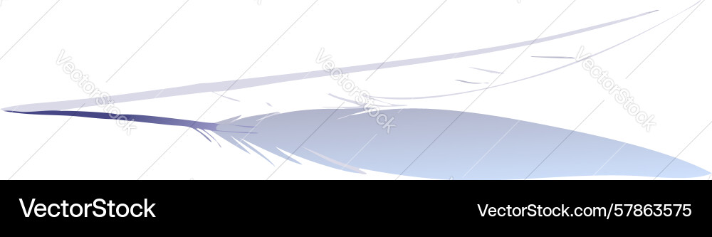 Feather with dynamic shadow on a white surface Vector Image